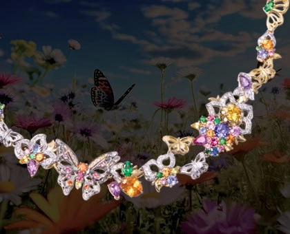 Borboleta Collection